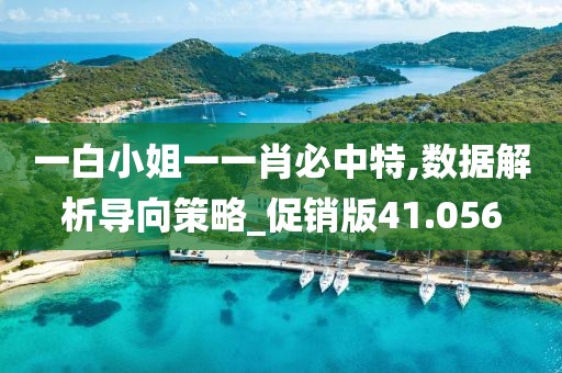 一白小姐一一肖必中特,數(shù)據(jù)解析導(dǎo)向策略_促銷版41.056