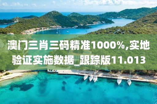 澳門三肖三碼精準(zhǔn)1000%,實地驗證實施數(shù)據(jù)_跟蹤版11.013