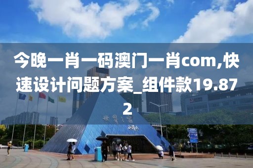 今晚一肖一碼澳門一肖com,快速設(shè)計(jì)問題方案_組件款19.872