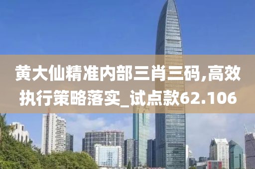 黃大仙精準(zhǔn)內(nèi)部三肖三碼,高效執(zhí)行策略落實_試點款62.106