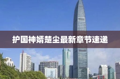 護國神婿楚塵最新章節(jié)速遞