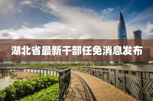 湖北省最新干部任免消息發(fā)布