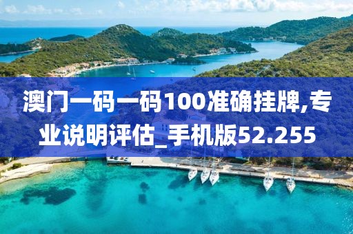 澳門一碼一碼100準(zhǔn)確掛牌,專業(yè)說明評(píng)估_手機(jī)版52.255