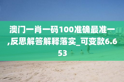澳門一肖一碼100準確最準一,反思解答解釋落實_可變款6.653