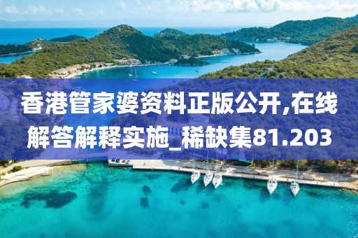 香港管家婆資料正版公開(kāi),在線解答解釋實(shí)施_稀缺集81.203