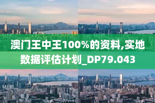 澳門王中王100%的資料,實(shí)地?cái)?shù)據(jù)評(píng)估計(jì)劃_DP79.043