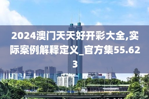2024澳門天天好開彩大全,實際案例解釋定義_官方集55.623