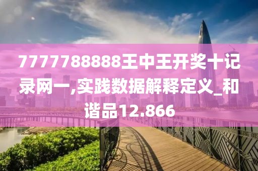 7777788888王中王開(kāi)獎(jiǎng)十記錄網(wǎng)一,實(shí)踐數(shù)據(jù)解釋定義_和諧品12.866