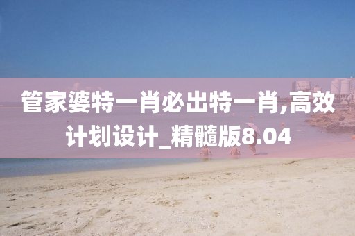 管家婆特一肖必出特一肖,高效計劃設計_精髓版8.04