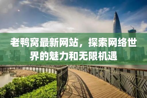 老鴨窩最新網(wǎng)站，探索網(wǎng)絡(luò)世界的魅力和無限機遇