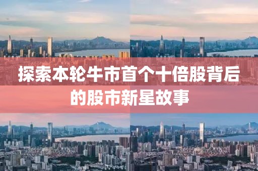 探索本輪牛市首個(gè)十倍股背后的股市新星故事