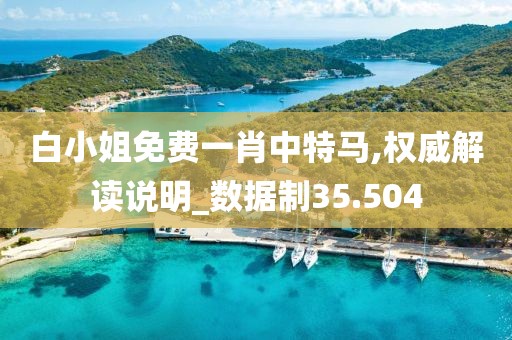 白小姐免費一肖中特馬,權(quán)威解讀說明_數(shù)據(jù)制35.504