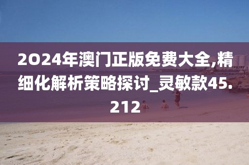 2O24年澳門正版免費(fèi)大全,精細(xì)化解析策略探討_靈敏款45.212