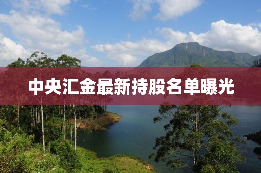 中央?yún)R金最新持股名單曝光