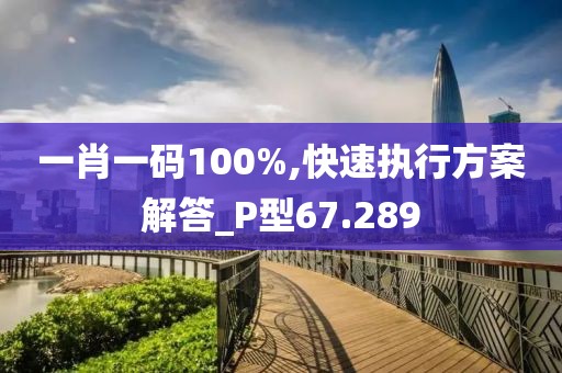 一肖一碼100%,快速執(zhí)行方案解答_P型67.289