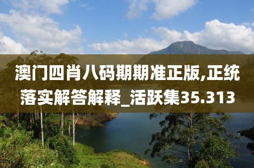 澳門(mén)四肖八碼期期準(zhǔn)正版,正統(tǒng)落實(shí)解答解釋_活躍集35.313