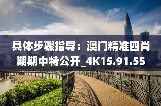 具體步驟指導(dǎo)：澳門精準(zhǔn)四肖期期中特公開_4K15.91.55