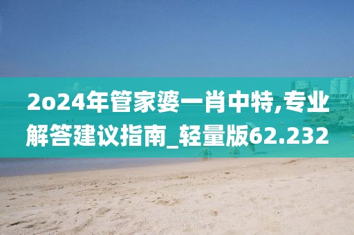 2o24年管家婆一肖中特,專業(yè)解答建議指南_輕量版62.232