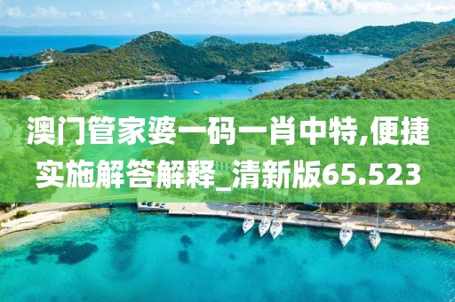 澳門管家婆一碼一肖中特,便捷實施解答解釋_清新版65.523