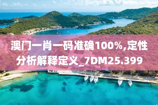 澳門(mén)一肖一碼準(zhǔn)確100%,定性分析解釋定義_7DM25.399