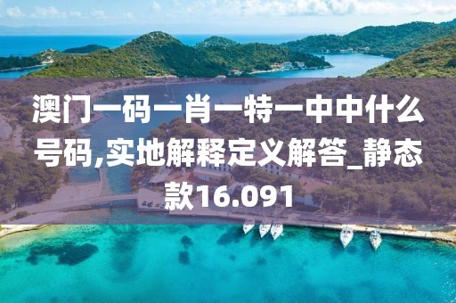 澳門一碼一肖一特一中中什么號碼,實地解釋定義解答_靜態(tài)款16.091