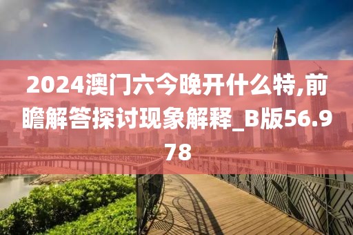 2024澳門(mén)六今晚開(kāi)什么特,前瞻解答探討現(xiàn)象解釋_B版56.978