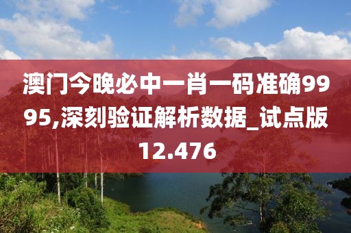 澳門今晚必中一肖一碼準確9995,深刻驗證解析數據_試點版12.476