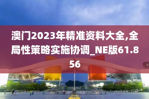 澳門2023年精準(zhǔn)資料大全,全局性策略實施協(xié)調(diào)_NE版61.856