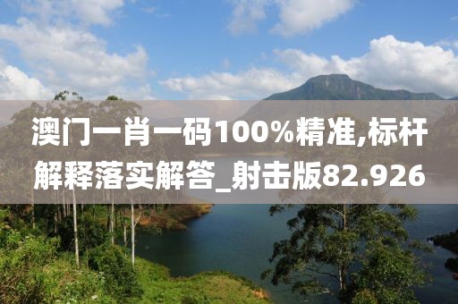 澳門一肖一碼100%精準,標桿解釋落實解答_射擊版82.926