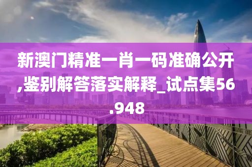 新澳門精準(zhǔn)一肖一碼準(zhǔn)確公開(kāi),鑒別解答落實(shí)解釋_試點(diǎn)集56.948