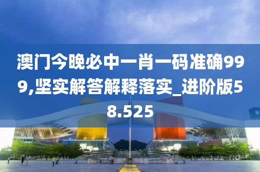 澳門今晚必中一肖一碼準確999,堅實解答解釋落實_進階版58.525