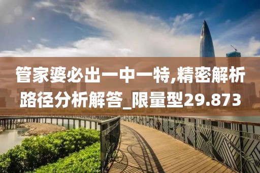 管家婆必出一中一特,精密解析路徑分析解答_限量型29.873