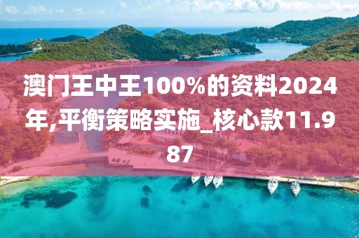 澳門王中王100%的資料2024年,平衡策略實施_核心款11.987