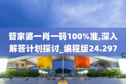 管家婆一肖一碼100%準,深入解答計劃探討_編程版24.297
