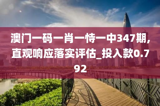 澳門一碼一肖一恃一中347期,直觀響應(yīng)落實(shí)評(píng)估_投入款0.792