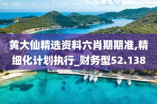 黃大仙精選資料六肖期期準(zhǔn),精細(xì)化計(jì)劃執(zhí)行_財(cái)務(wù)型52.138