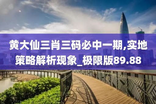 黃大仙三肖三碼必中一期,實(shí)地策略解析現(xiàn)象_極限版89.88