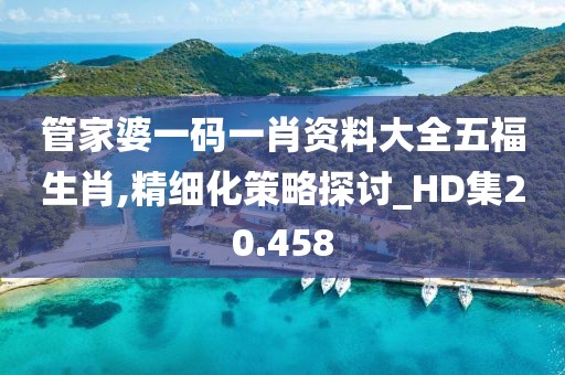管家婆一碼一肖資料大全五福生肖,精細(xì)化策略探討_HD集20.458