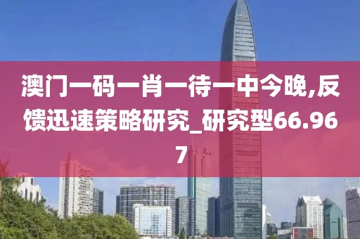 澳門(mén)一碼一肖一待一中今晚,反饋迅速策略研究_研究型66.967