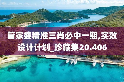 管家婆精準(zhǔn)三肖必中一期,實(shí)效設(shè)計(jì)計(jì)劃_珍藏集20.406