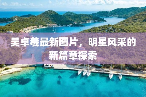吳卓羲最新圖片，明星風采的新篇章探索