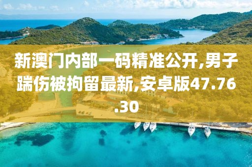 新澳門內(nèi)部一碼精準公開,男子踹傷被拘留最新,安卓版47.76.30