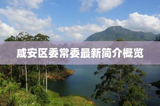 咸安區(qū)委常委最新簡(jiǎn)介概覽