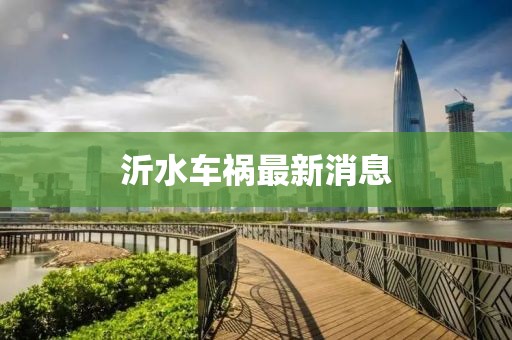 沂水車禍最新消息