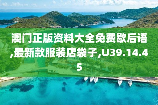 澳門正版資料大全免費歇后語,最新款服裝店袋子,U39.14.45
