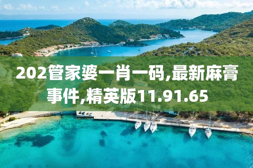 202管家婆一肖一碼,最新麻膏事件,精英版11.91.65