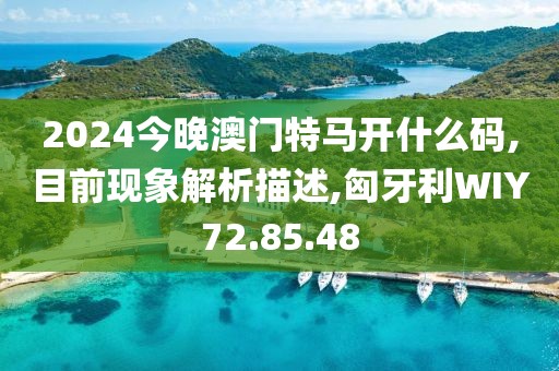 2024今晚澳門特馬開什么碼,目前現(xiàn)象解析描述,匈牙利WIY72.85.48