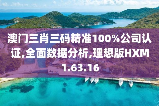 澳門(mén)三肖三碼精準(zhǔn)100%公司認(rèn)證,全面數(shù)據(jù)分析,理想版HXM1.63.16