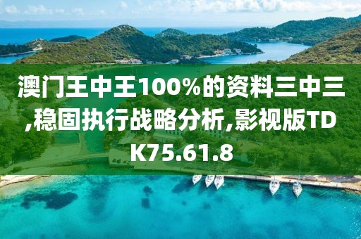 澳門王中王100%的資料三中三,穩(wěn)固執(zhí)行戰(zhàn)略分析,影視版TDK75.61.8