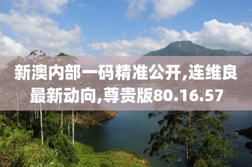 新澳內(nèi)部一碼精準(zhǔn)公開(kāi),連維良最新動(dòng)向,尊貴版80.16.57